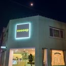 줍(zoooop) 네이버블로그