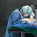 24시 황금동물의료센터 | 대구 동물 병원 24시 황금 동물의료센터 오픈 후기