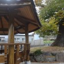 간월자연휴양림 이미지