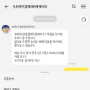 보보파인 이미지