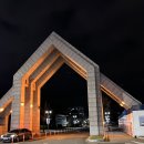 대학로(유성-2) 이미지