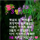 디지털 사진 편집 이미지