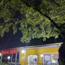 장어마을금오산점 이미지