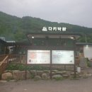 금당농장 | 평창 다키닥팜_기다림과 허탕 끝에 드디어 맛본, 담백한 생오리 숯불구이 솔직리뷰!