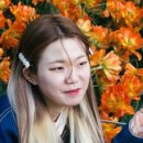 포토아이브가로수길
