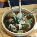 안성공도 해산물술안주맛집 술딴지에서 코스요리와 쭈꾸미샤브, 산낙지 등 먹은 후기