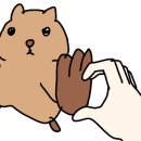 헤어플레임