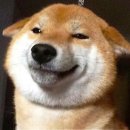 다복수산