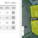 중부흥 네이버블로그