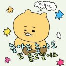 [일본 다카마쓰 3일차] 다카마쓰 3박 4일 (나오시마 섬/카페살롱 나카오쿠/지추미술관/모리야 우동...