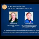 노벨전자 이미지