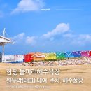 돌머리해수욕장 입구 가로수길 | 함평 돌머리해수욕장 원두막 대여, 주차, 해수풀장, 어린이수영장