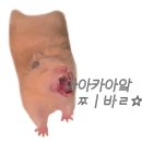 보광수산센터 이미지