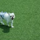 멍블리하우스 이미지