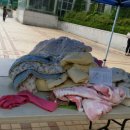 안양종합세탁 이미지