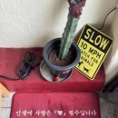 낭만과순정 이미지