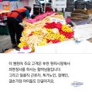 김서영의원 이미지