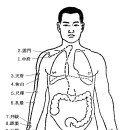 (1) 수태음폐경(手太陰肺經) LU-11穴 이미지