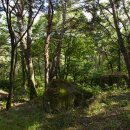 가산수피아 이미지