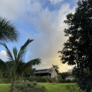 유지태농장 이미지