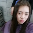 창포미장 네이버블로그