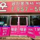 대운공인중개사사무소 이미지