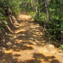 산삼수산 이미지