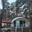 동호사우나 | 양양 동호해변 트리플펜션&amp;글램핑 솔숲6 내돈내산 추천 후기