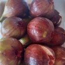 영오농장 이미지