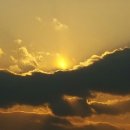 안성천 둔치공원 1 이미지