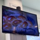 세븐일레븐 시흥정왕2호점 | 시흥 오이도 맛집 이색 돈가스 누엘아토 후기