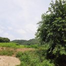 구내농장 이미지