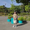 모메그린