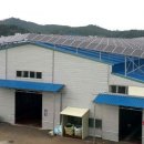 진화태양광발전소 이미지