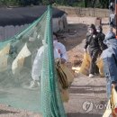 경보축산 이미지