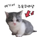 비엠티테라피앤스파