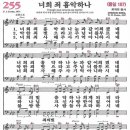 255 이미지