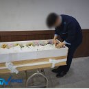 계명대학교 경주동산병원 네이버블로그