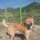 무지개훈련소 이미지