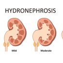 24시알파동물메디컬센터 이미지