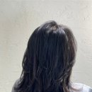 오아르헤어 이미지