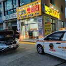 바둑이 애견 Daum카페