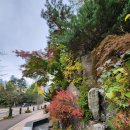 광덕산근린공원 이미지