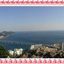 감정초등학교 이미지