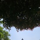 개봉역-개웅산-천왕산-항동 푸른 수목원-온수역 이미지