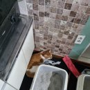 햇님세탁소 이미지