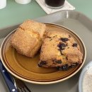 그린어스 | [포항 카페] 포항 죽도동 감성카페 애견동반카페 “그린어스”