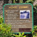 청학주차장2 | 🌿청학밸리리조트 방문기 | 서울 외곽에서 만나는 자연 속 힐링 여행 #남양주시 #별내면 #청학리