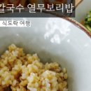 뜰안칼국수열무보리밥