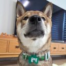 (주)한윌 이미지